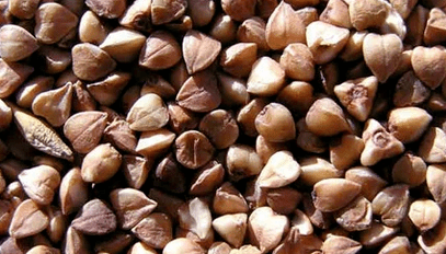 Porridge de blé saracen pour perdre du poids